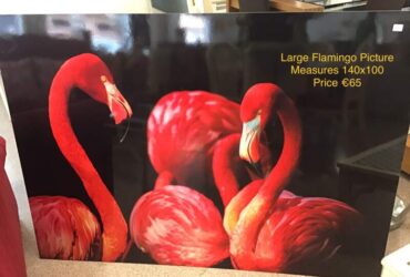 Flamingo Pictures