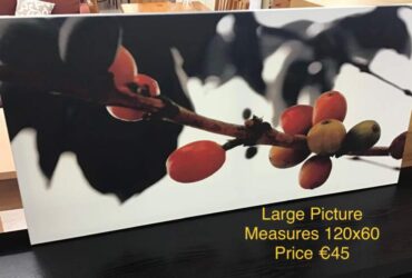 Large Canvas Picture