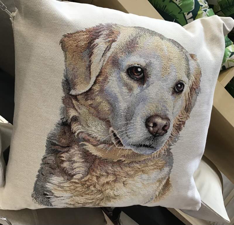 Cushions