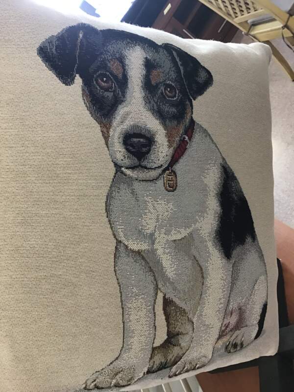 Cushions